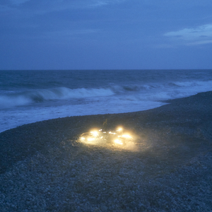 丰满熟妇大荫肉唇高潮
